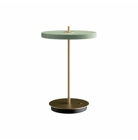 Asteria Move V2 20x30,6 cm Nuance olive